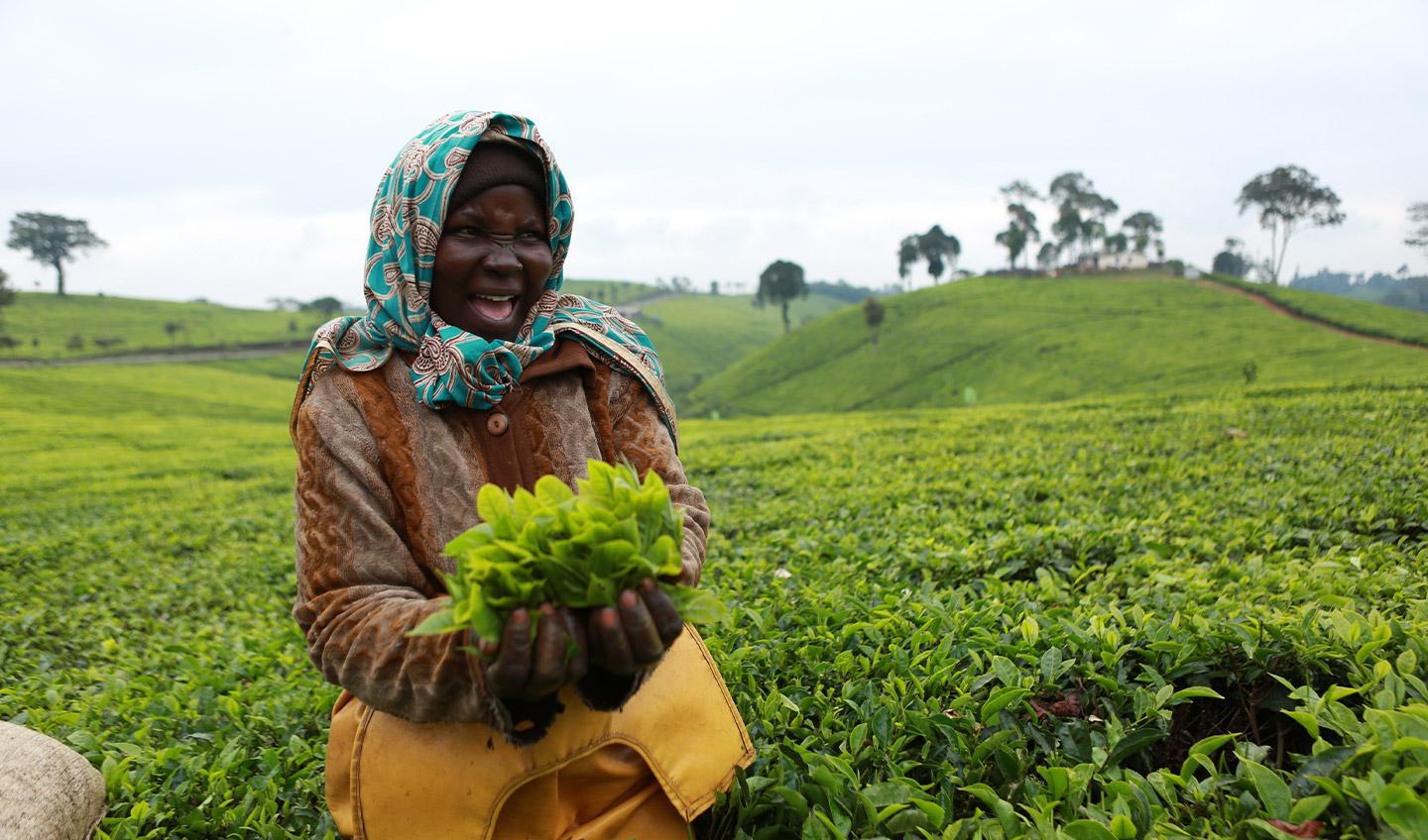 Read more about the article Working toward a better shared future